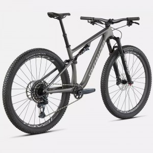 Bicicletta Specialized Epic Evo Expert Grigio