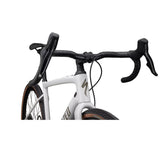 Bicicletta Diverge Expert Carbon
