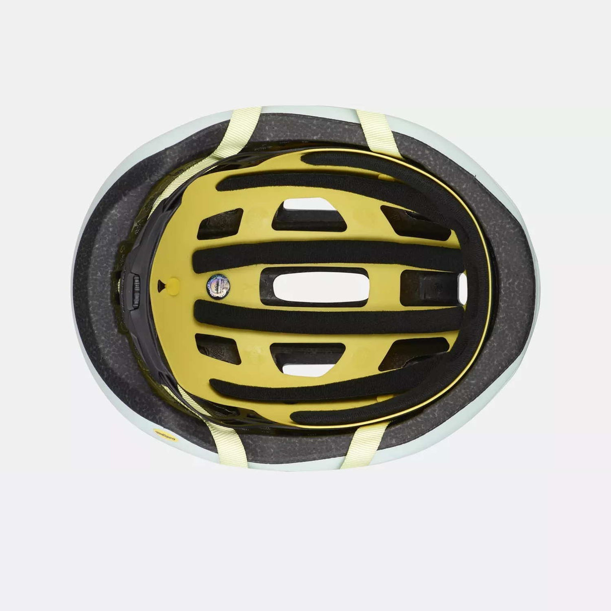 Casco Align II