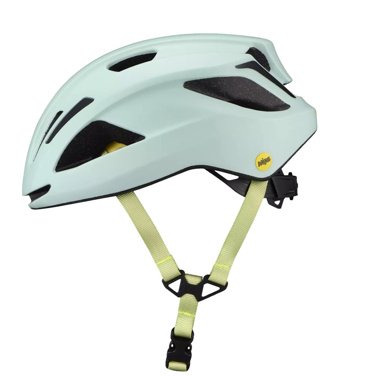 Casco Align II