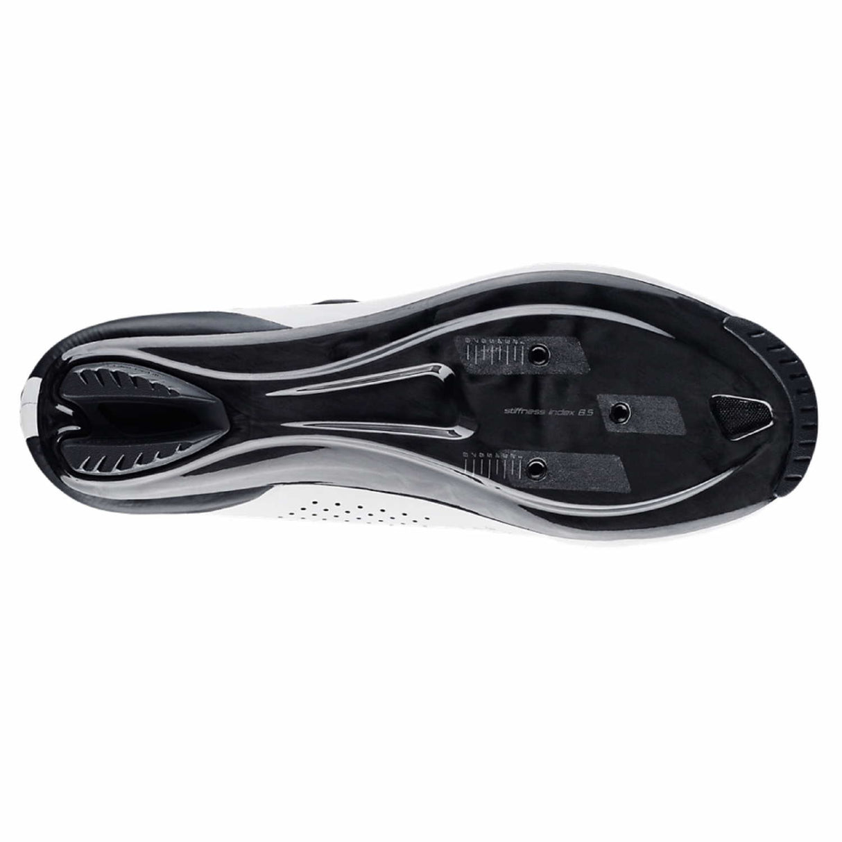 Scarpe Torch 2.0 Rd