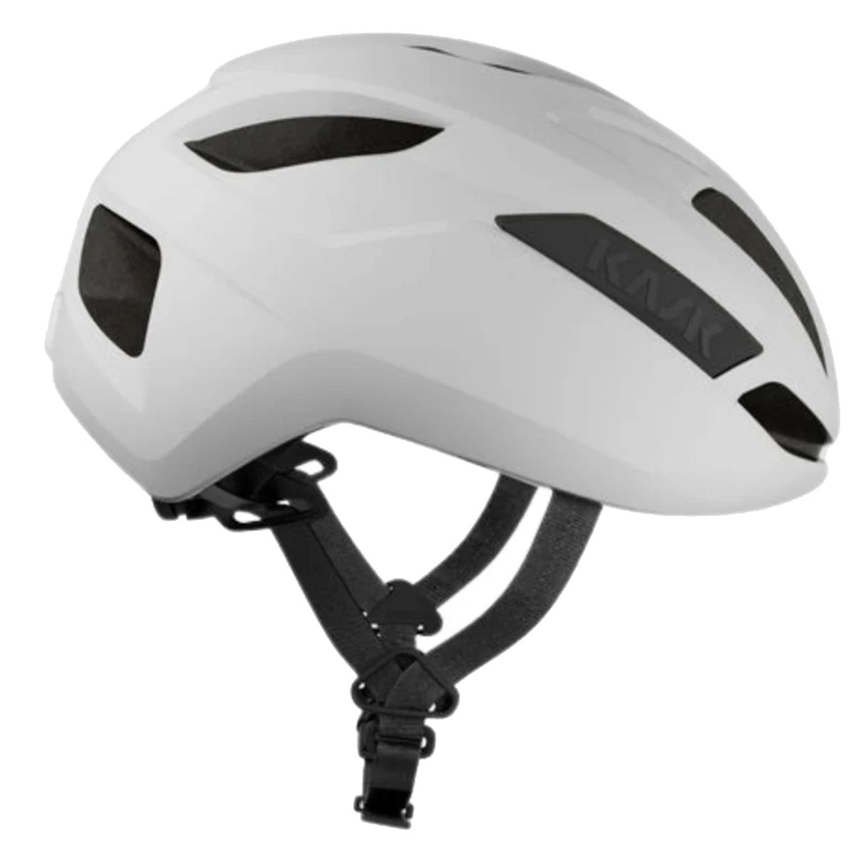 Casco Sintesi