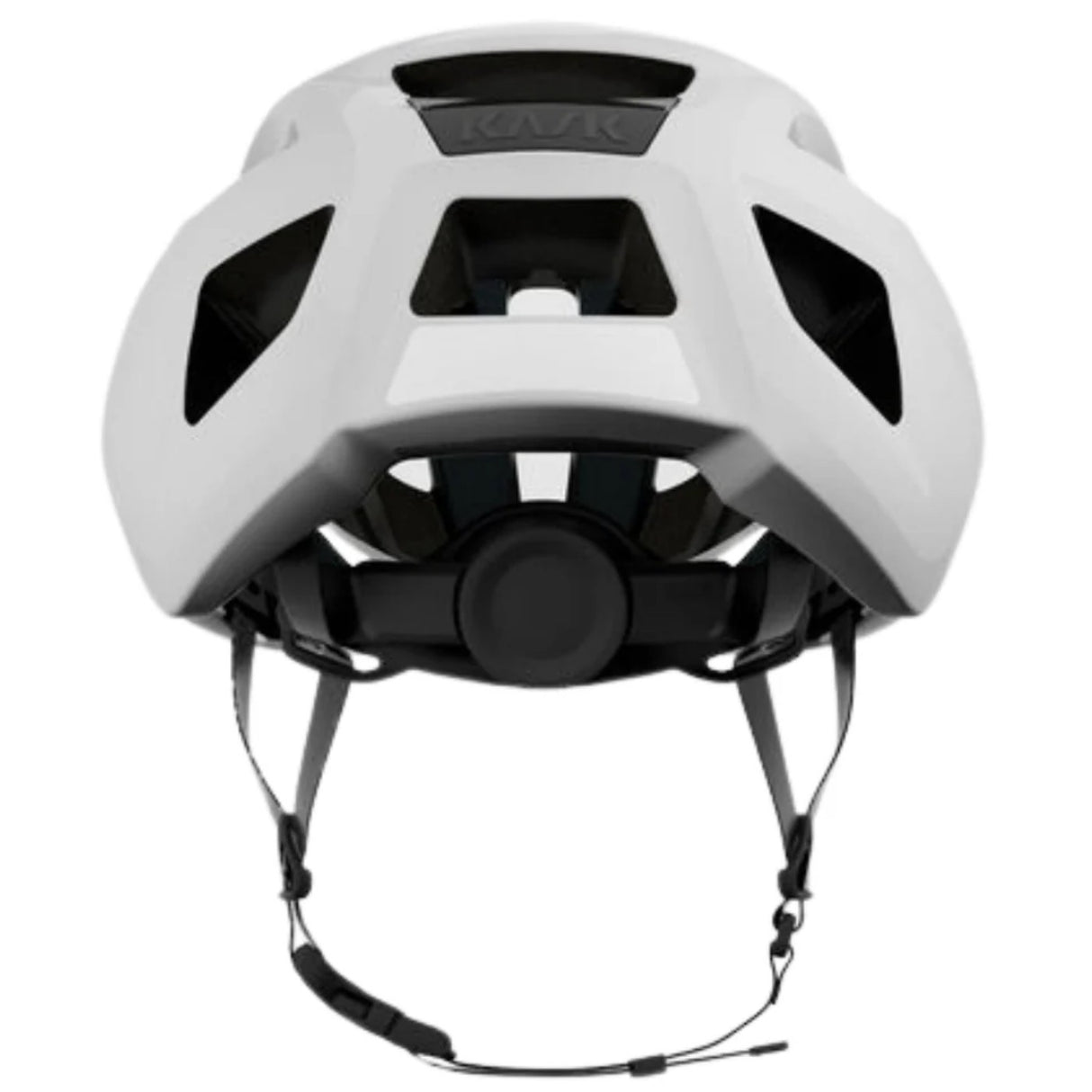 Casco Sintesi