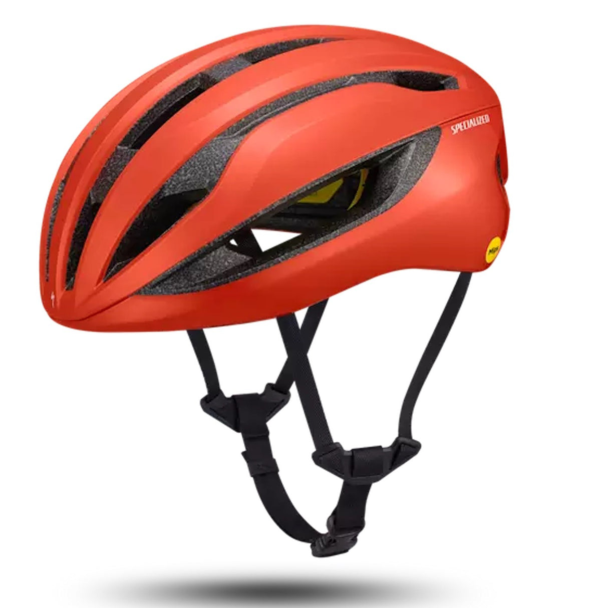 Casco Loma