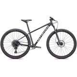 Bicicletta Rockhopper Expert 29