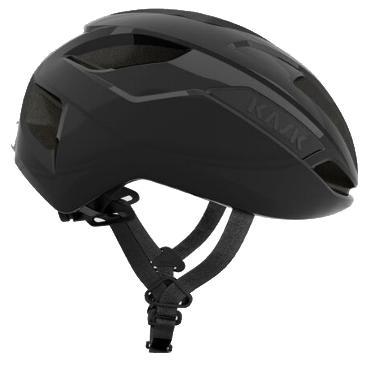 Casco Sintesi