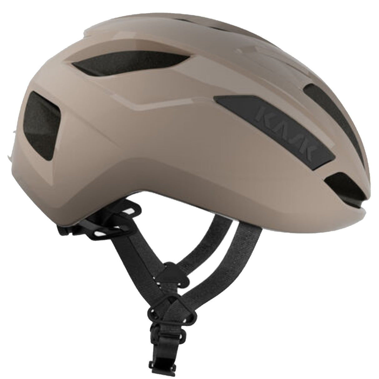 Casco Sintesi