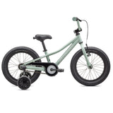 Bicicletta Riprock Coaster 16 Int