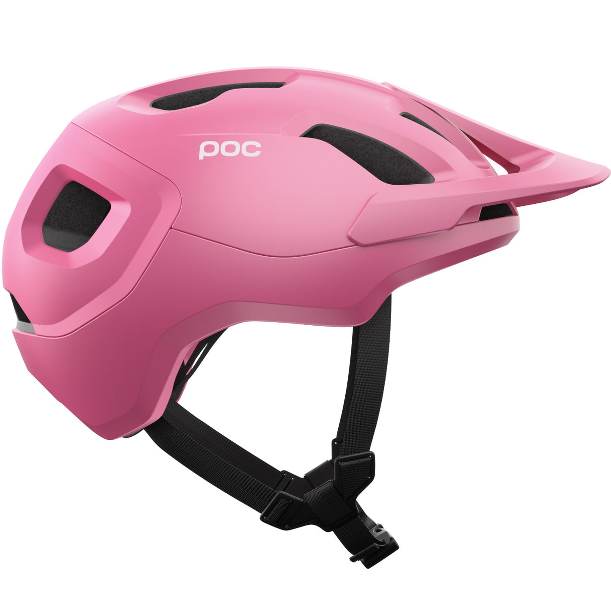 Casco Tectal